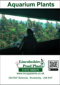 Aquarium Catalogue