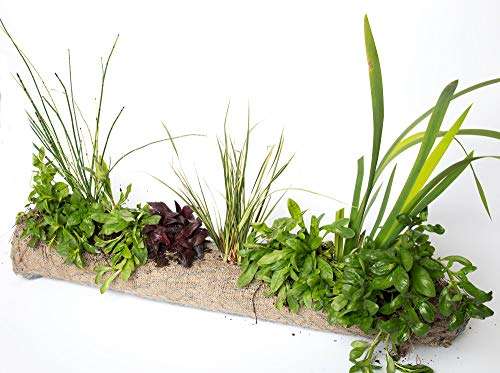 Plant Hessian Kit x 8 Plants - 1 Meter Compost Planter - SAUS00