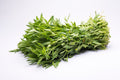 Alternanthera sessilis