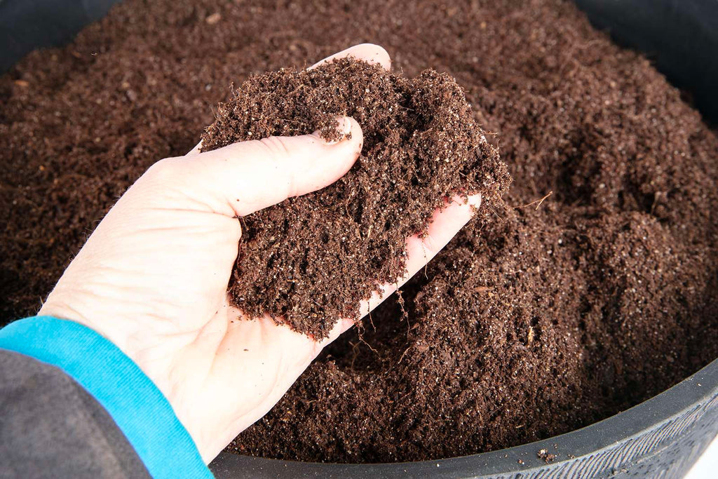 Aquatic Compost