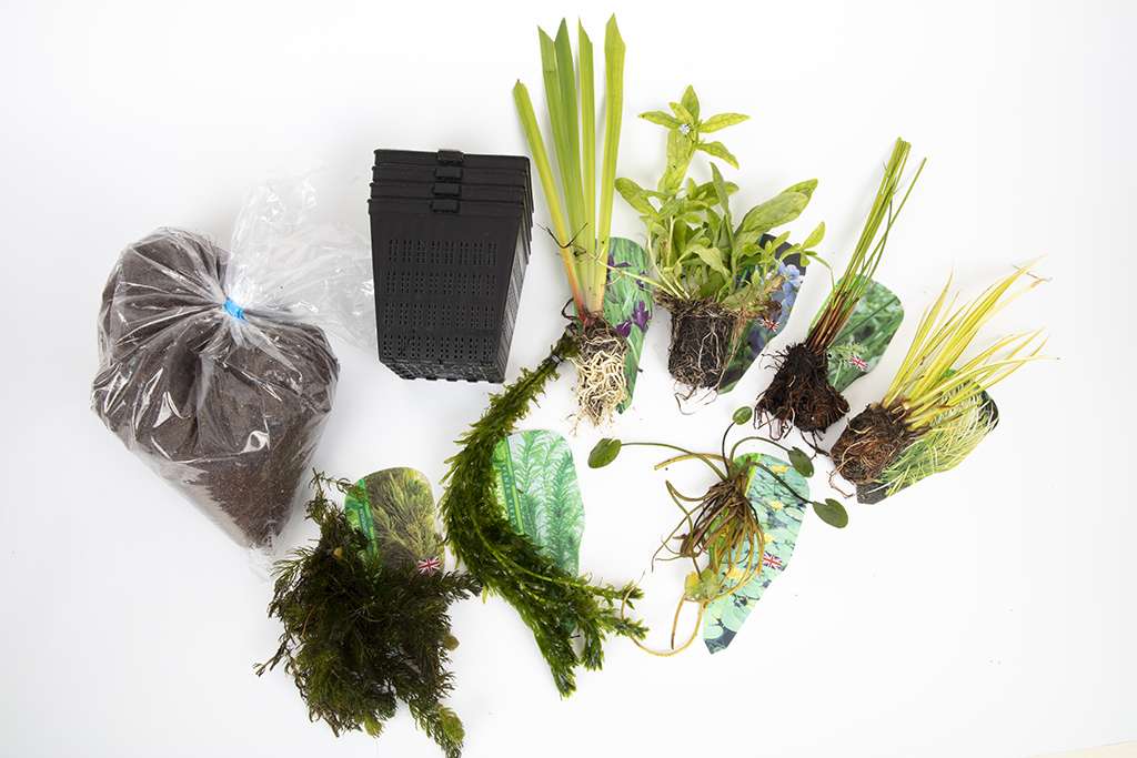 Pond Starter & top up Packs - Oxygenating - Compost and Pots