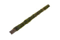 Vesicularia dubyana (Java Moss) on bamboo stick